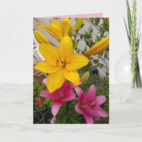 Colourful Pink Lily floral Flower Photo Card