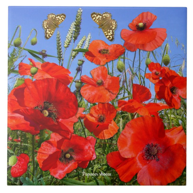 Colourful Poppy Field Ceramic Tile (Front)