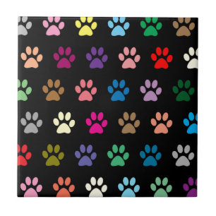 Colourful puppy paw prints on black tile