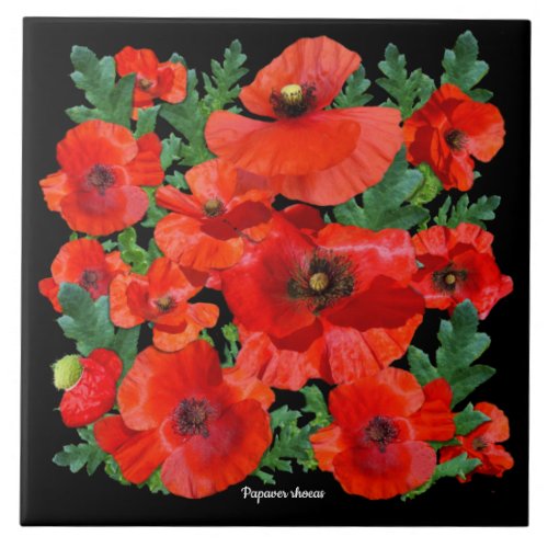 Colourful Red Poppies Ceramic Tile