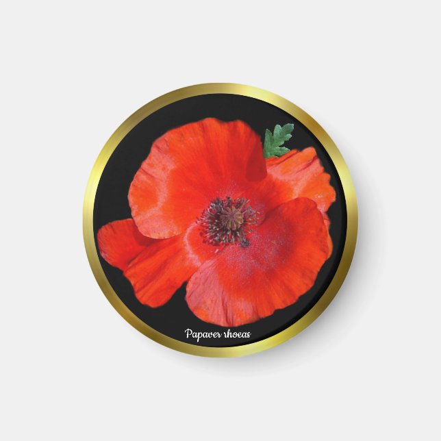 Colourful Red Poppy Magnet (Front)