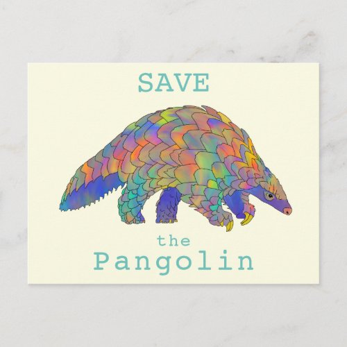 Colourful Save Pangolin Endangered Animal Activism Postcard