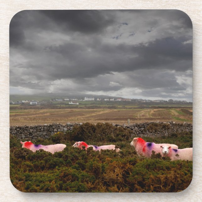 Colourful sheep beverage coaster (Front)