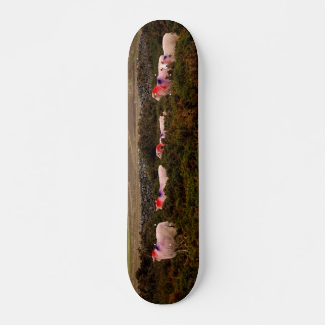 Colourful sheep skateboard (Front)