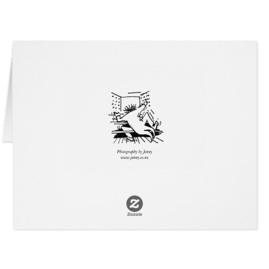 Colourful South Australian pipe organ (Back Horizontal)