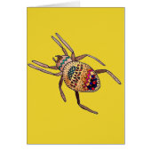 Colourful Spider birthday arachnid art (Front)