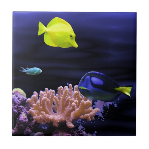Colourful Tropical Fish Tile