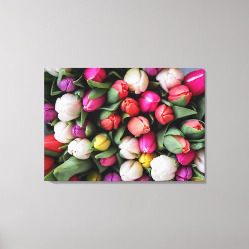 COLOURFUL TULIPS CANVAS PRINT