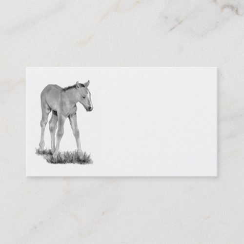 Colt, Horse: Business Card Pencil Art: Realism