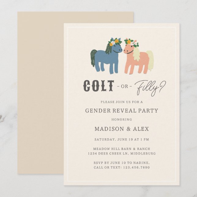 Colt or Filly Cute Horse Theme Gender Reveal Party Invitation (Front/Back)