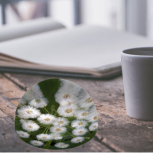 Coltsfoot Fuzzy Seed Heads Floral Paperweight