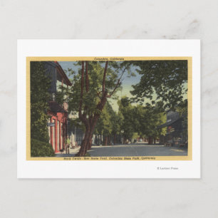 Columbia, California - Street Scene Postcard
