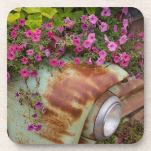 Columbia Falls Beverage Coaster