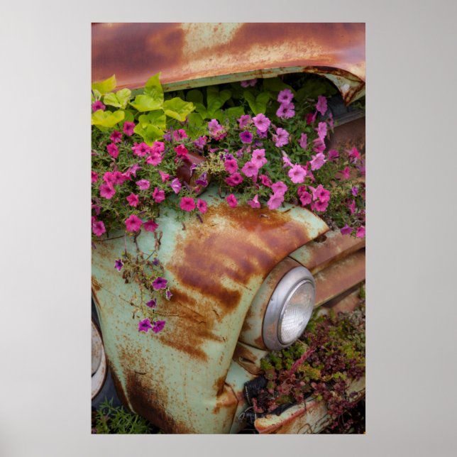 Columbia Falls Poster (Front)