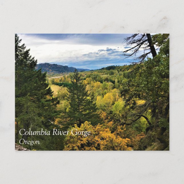 Columbia River Gorge, Oregon Postcard (Front)