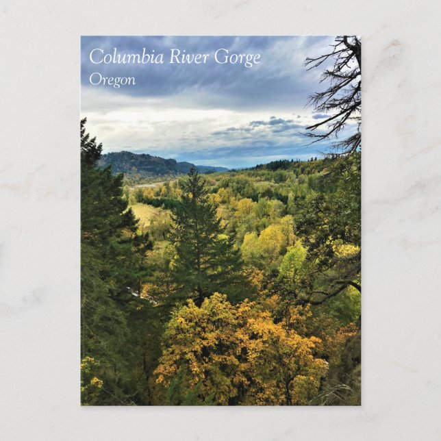 Columbia River Gorge, Oregon Postcard (Front)