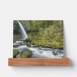 Columbia River Gorge, Ponytail Falls Picture Ledge