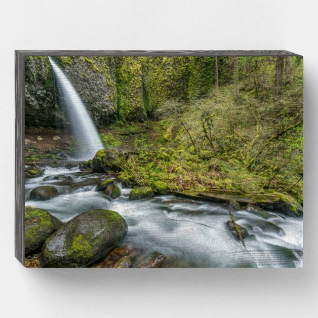 Columbia River Gorge, Ponytail Falls Wooden Box Sign (Front Horizontal)