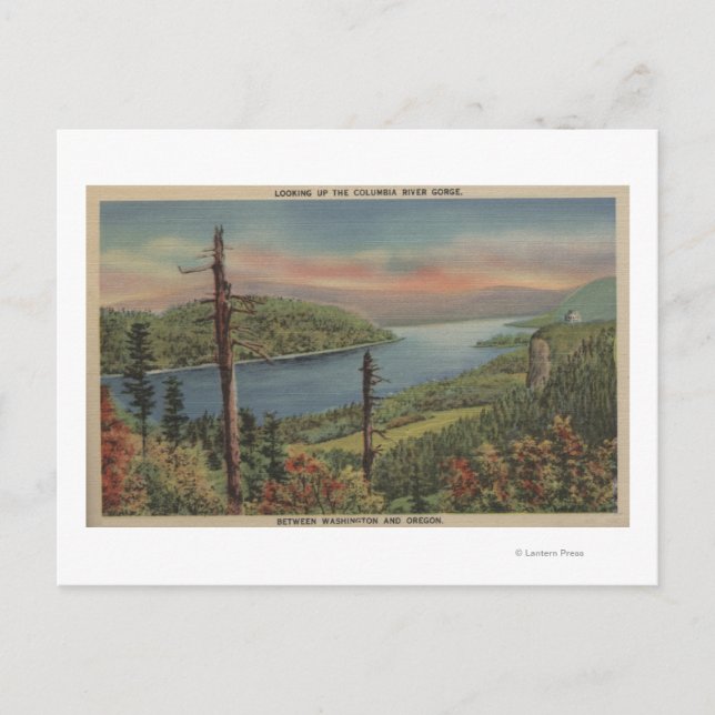Columbia River Gorge Postcard (Front)