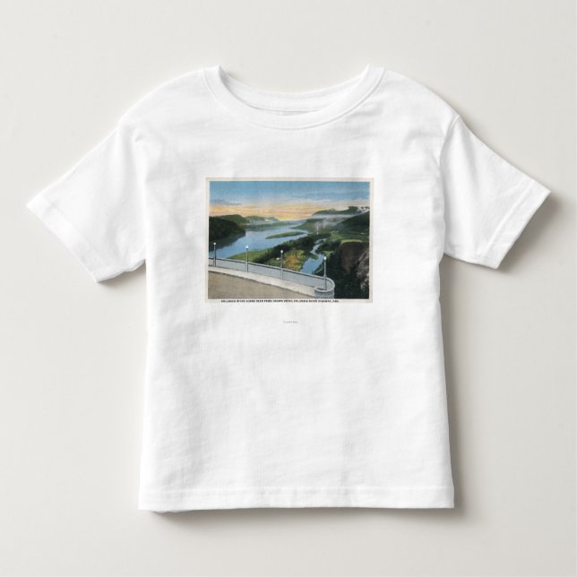 Columbia River Gorge View from Crown Point, Toddler T-shirt (Front)