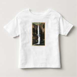 Columbia River, OR - Multnomah Falls and Benson Toddler T-shirt