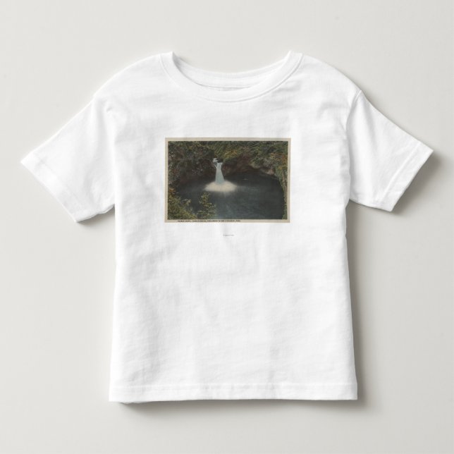 Columbia River, Oregon - Punch Bowl Toddler T-shirt (Front)