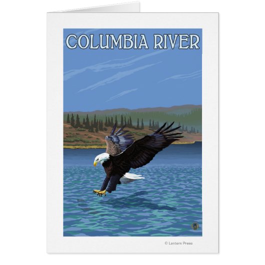 Columbia River, WashingtonEagle Diving Cards (Front)
