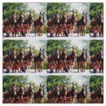 Columbia Tenn Mule Days Fabric