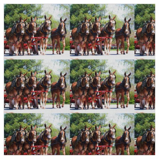 Columbia Tenn Mule Days Fabric