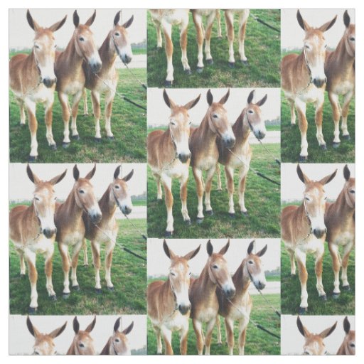 Columbia, TN Mule Days Fabric