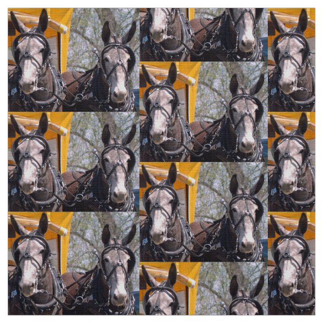 Columbia, TN Mule Days Fabric (Swatch)