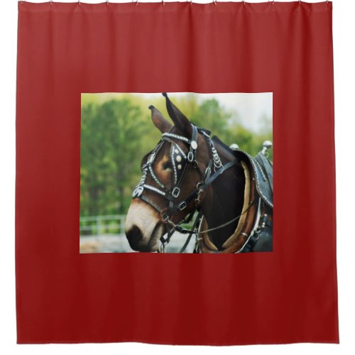 Columbia TN mule days Shower Curtain