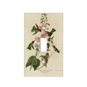 Columbian (Anna's) Humming Bird - Audubon's Birds Light Switch Cover