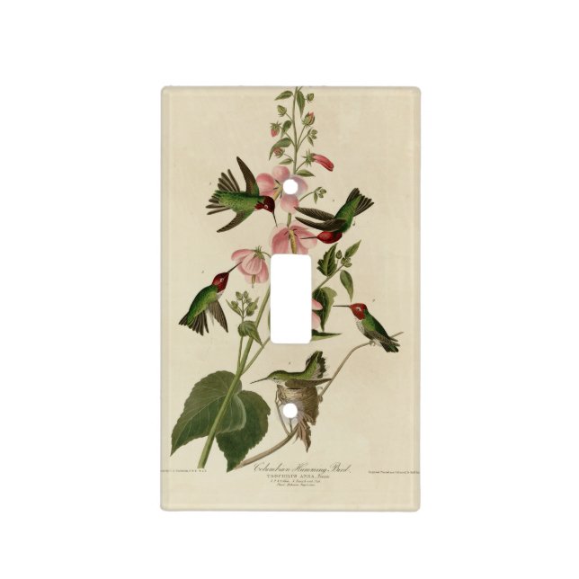 Columbian (Anna's) Humming Bird - Audubon's Birds Light Switch Cover (Front)