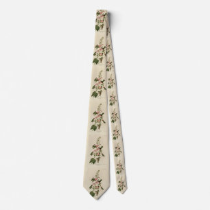 Columbian (Anna's) Humming Bird - Audubon's Birds Neck Tie