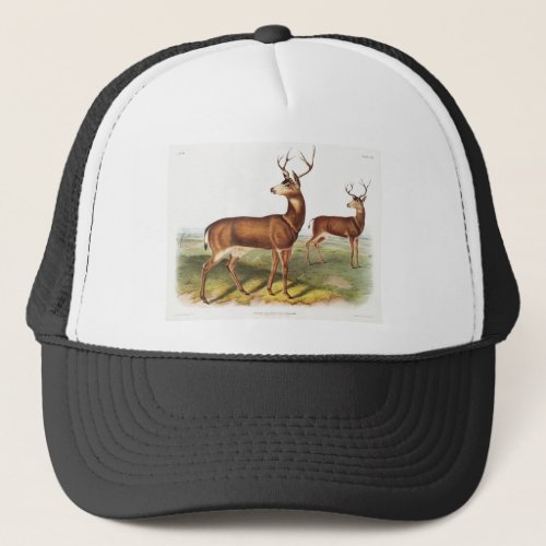 Columbian Black_tailed Deer Trucker Hat