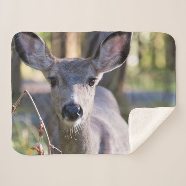 Columbian Black-tailed Doe | Washington State Sherpa Blanket (Front (Horizontal))