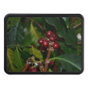 Columbian Coffee Beans Trailer Hitch Cover