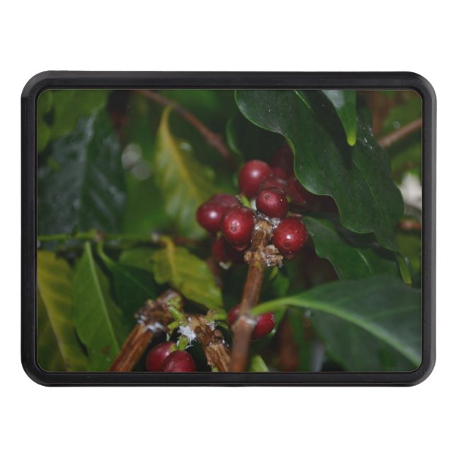 Columbian Coffee Beans Trailer Hitch Cover (Front)