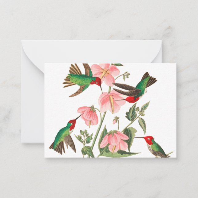 Columbian Humming by John James Audubon Note Card (Front)
