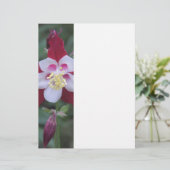 Columbine (Standing Front)