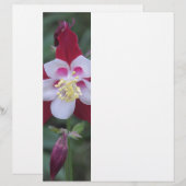 Columbine (Front/Back)