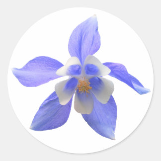 Columbine 158 ~ sticker