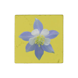 Columbine 2 stone magnet