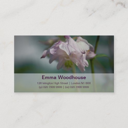 Columbine | Akelei Business Cards