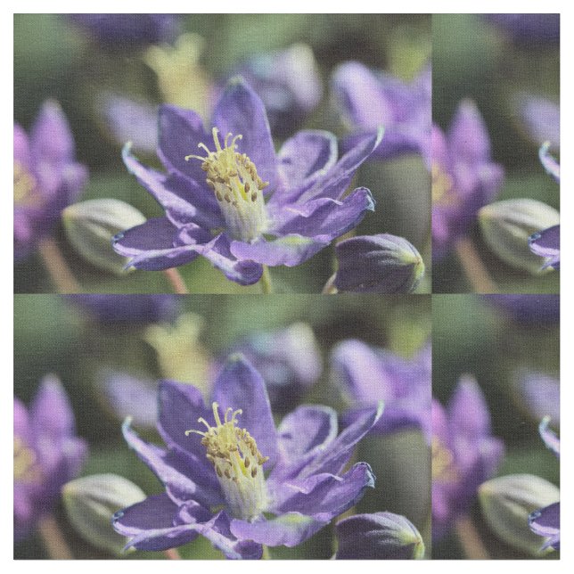 Columbine Fabric (Close Up)