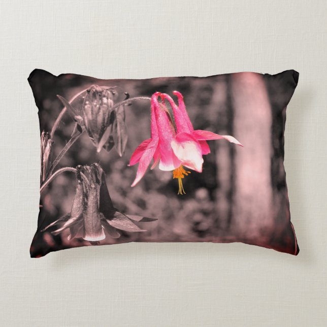 Columbine Flower Black And White Partial Color   Accent Pillow (Front)