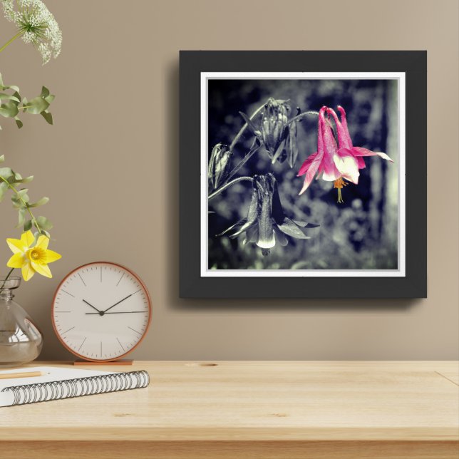 Columbine Flower Black And White Partial Framed Framed Art (Table Top)
