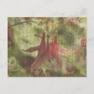 Columbine Flower Digital Art Postcard