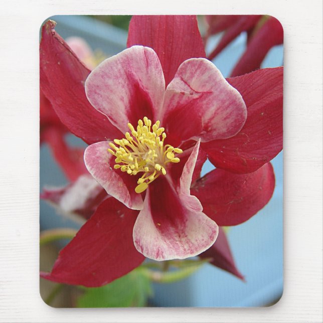 Columbine Flower Mouse Pad (Front)